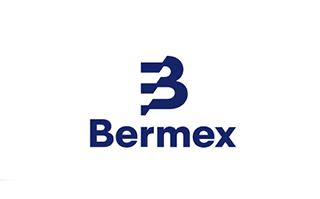 Bermex Development Group